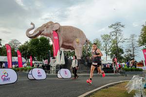 BIB: 
                            <button type="button" onclick="openModal(26528368)" class="btn btn-primary btn-sm float-right btn-popup" data-toggle="modal" data-target=".modal-high-quality">
                        <i class="fas fa-shopping-cart"></i> Add to Cart
                    </button>
                                            <button type="button" onclick="isThisMe(26528368, true)" class="btn btn-success btn-sm float-right btn-popup btn-isme hidden" data-toggle="tooltip" data-placement="bottom" title="นี่คือรูปของคุณใช่ไหม คลิกที่นี่เพื่อเอาเข้าอัลบั้ม">
                        <i class="fas fa-plus"></i> Add to album
                    </button>
                    <button type="button" onclick="isThisMe(26528368, false)" class="btn btn-warning btn-sm float-right btn-popup btn-isnotme hidden">
                        <i class="fas fa-ban"></i> Remove from album
                    </button>